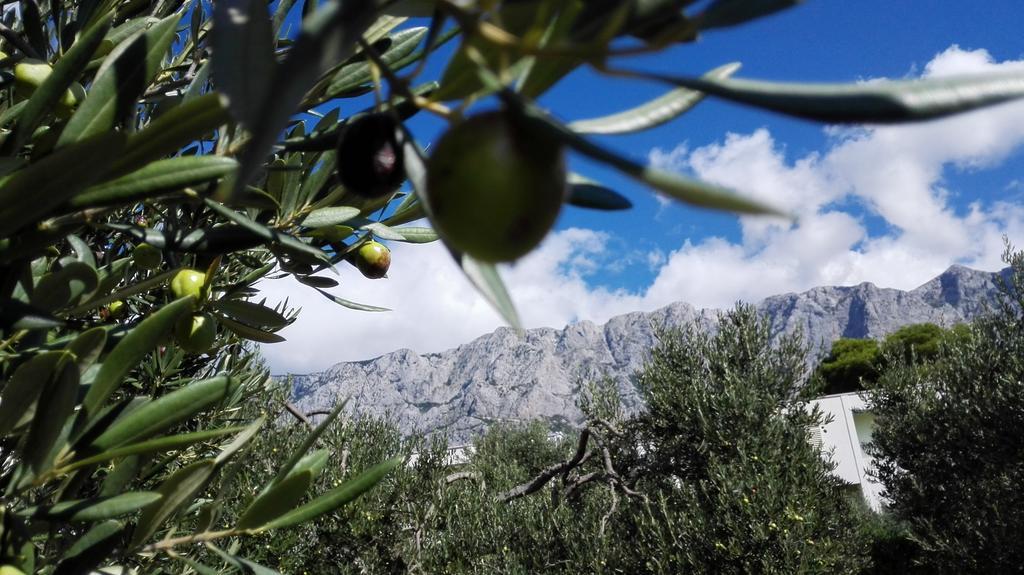Apartmani Sabic A6 Makarska Bagian luar foto